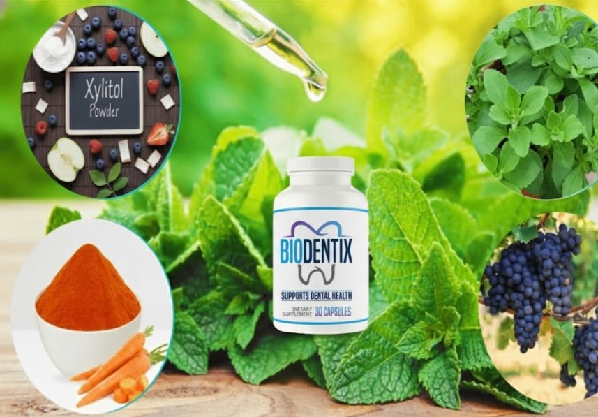 Biodentix ingrediens image